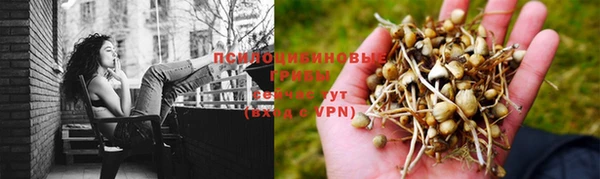 spice Алексин