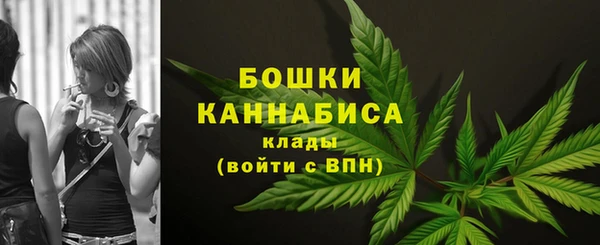 PSILOCYBIN Абдулино