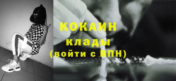 хмурый Абаза