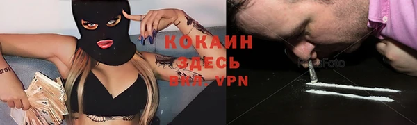 хмурый Абаза