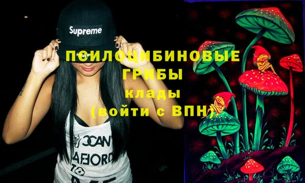 каннабис Алексеевка