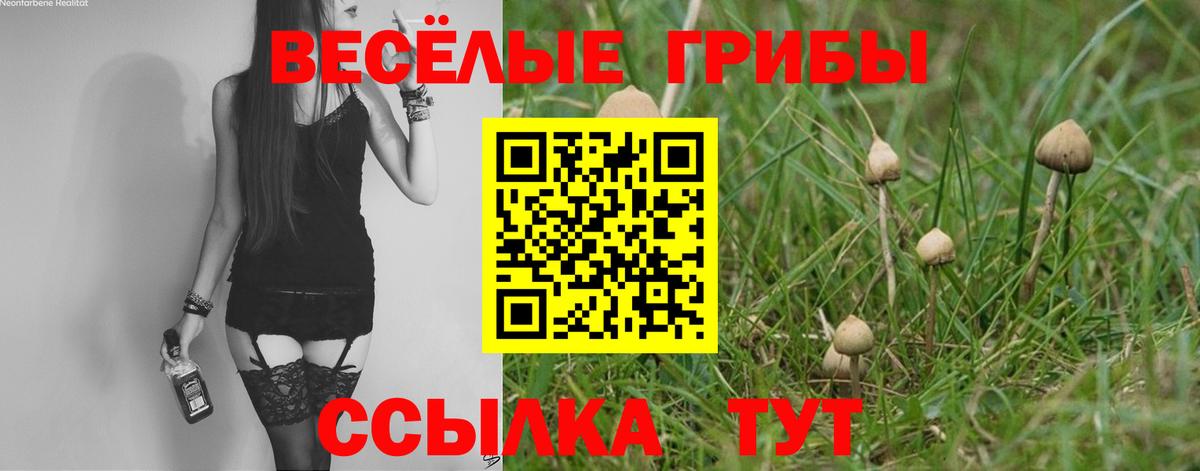 Зеленокумск  Псилоцибиновые грибы мицелий  Вход с VPN 